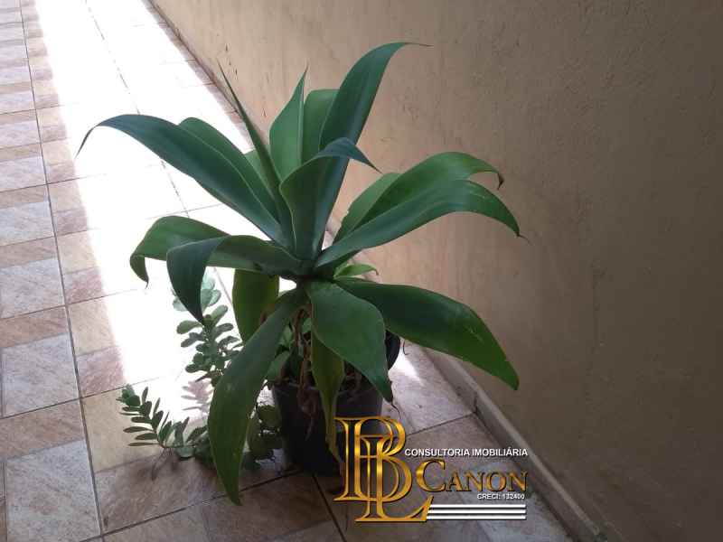 Foto adicional do imóvel